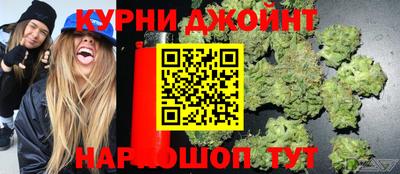 шишки Лесосибирск