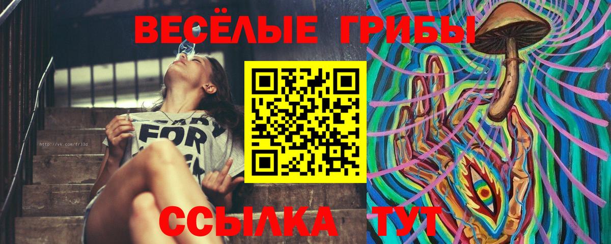 Галлюциногенные грибы мухоморы Узловая