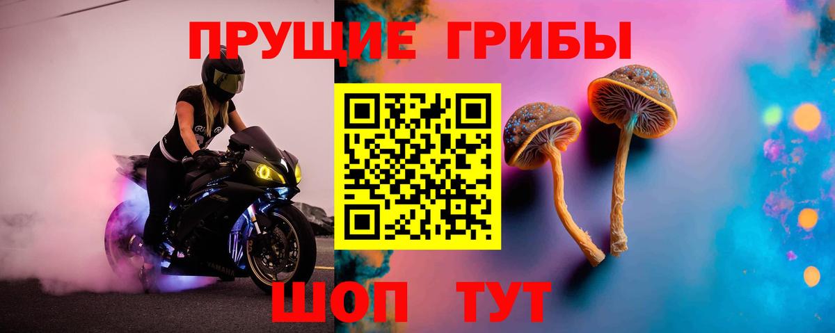 Псилоцибиновые грибы мицелий  Вход с VPN  Узловая 